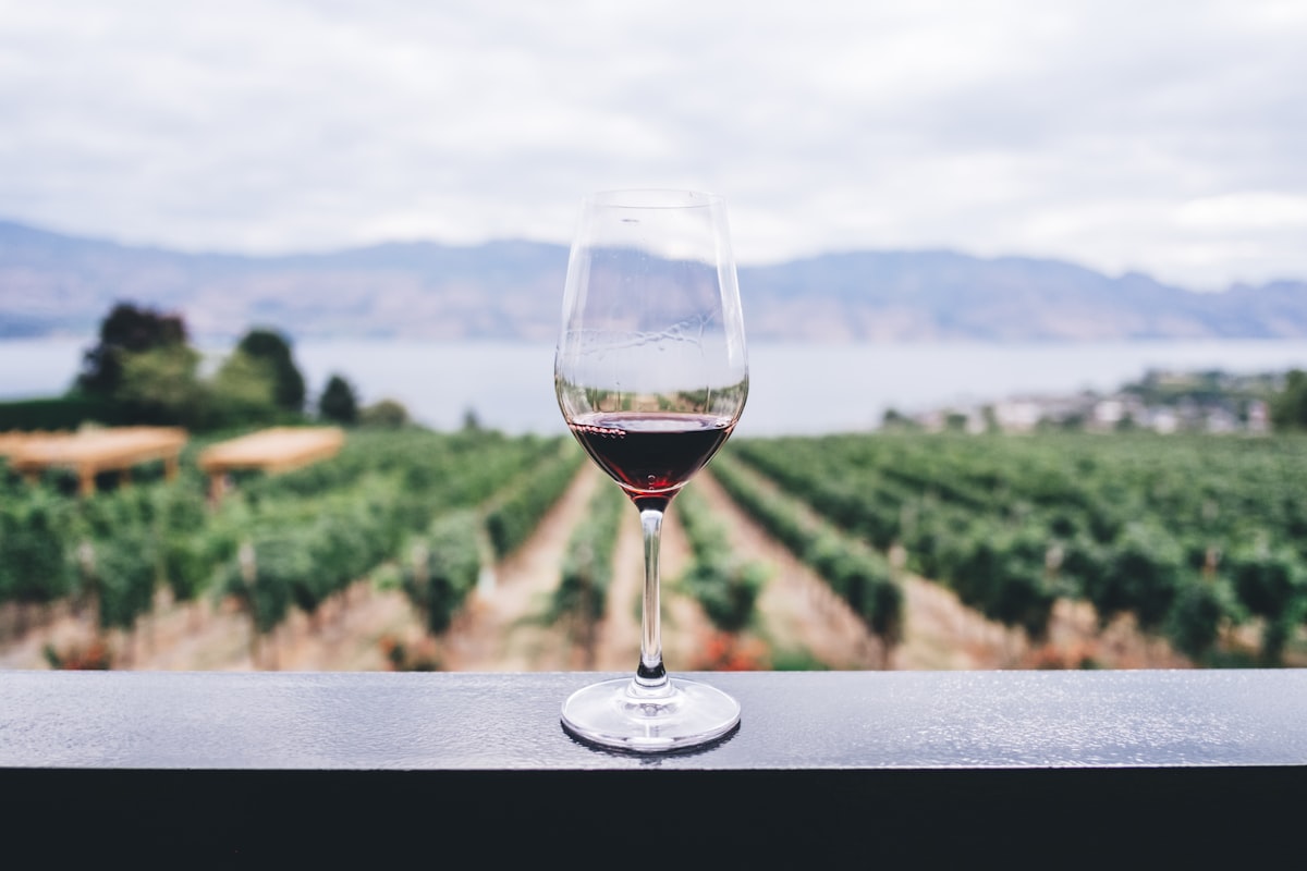 Portuguese Wine Beyond Port: A Regional Guide